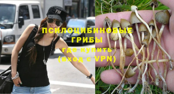 тгк Осинники