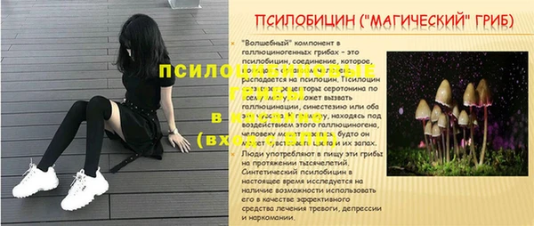 тгк Осинники